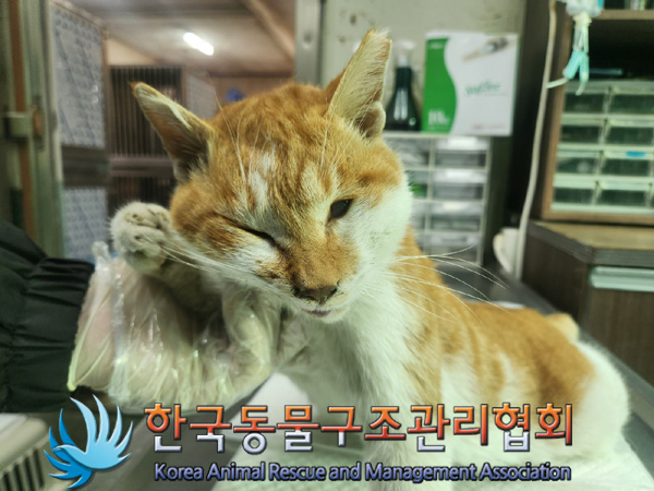 한국동물구조관리협회_411303202400507